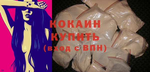 индика Дмитров