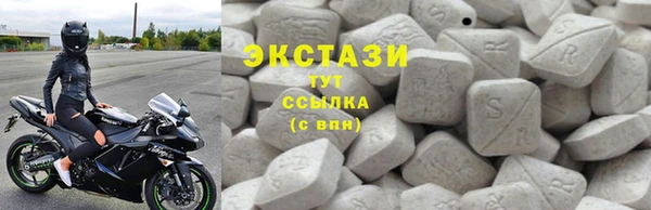 индика Дмитров
