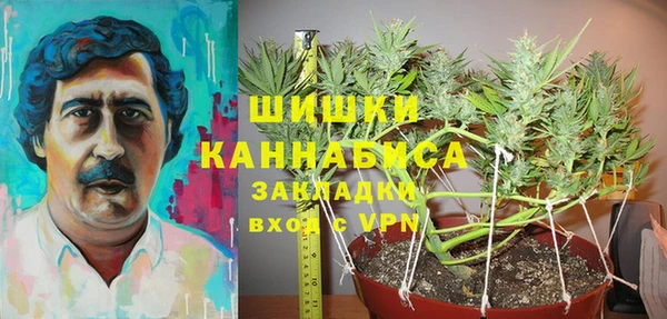 эйфоретик Гусиноозёрск