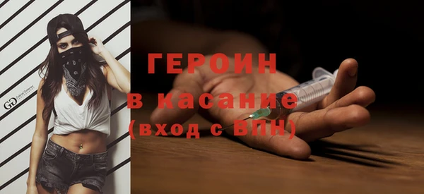 индика Дмитров