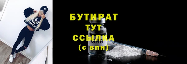 индика Дмитров