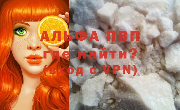 индика Дмитров