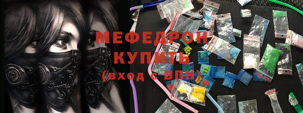 индика Дмитров