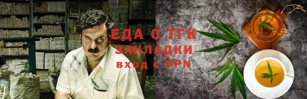 индика Дмитров