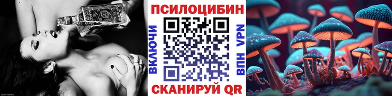 Псилоцибиновые грибы мухоморы  Купить закладки  Нальчик 